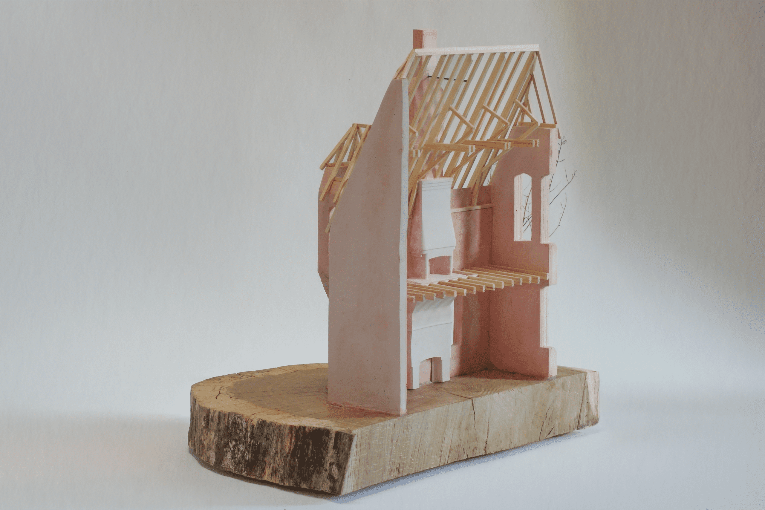 James and Caspar model